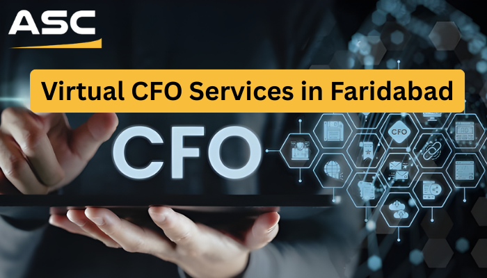 Virtual CFO Services in Faridabad